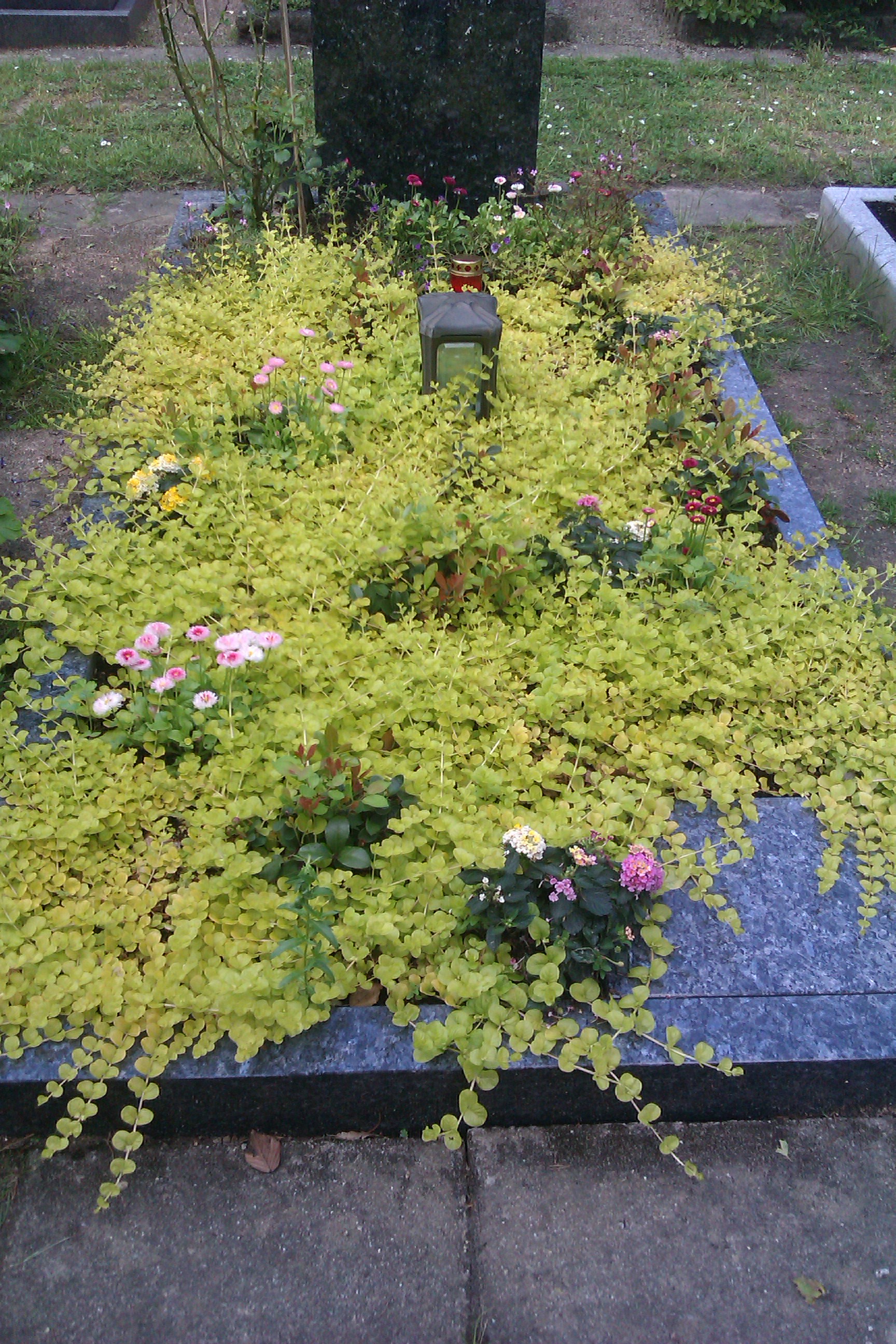 Grabpflege