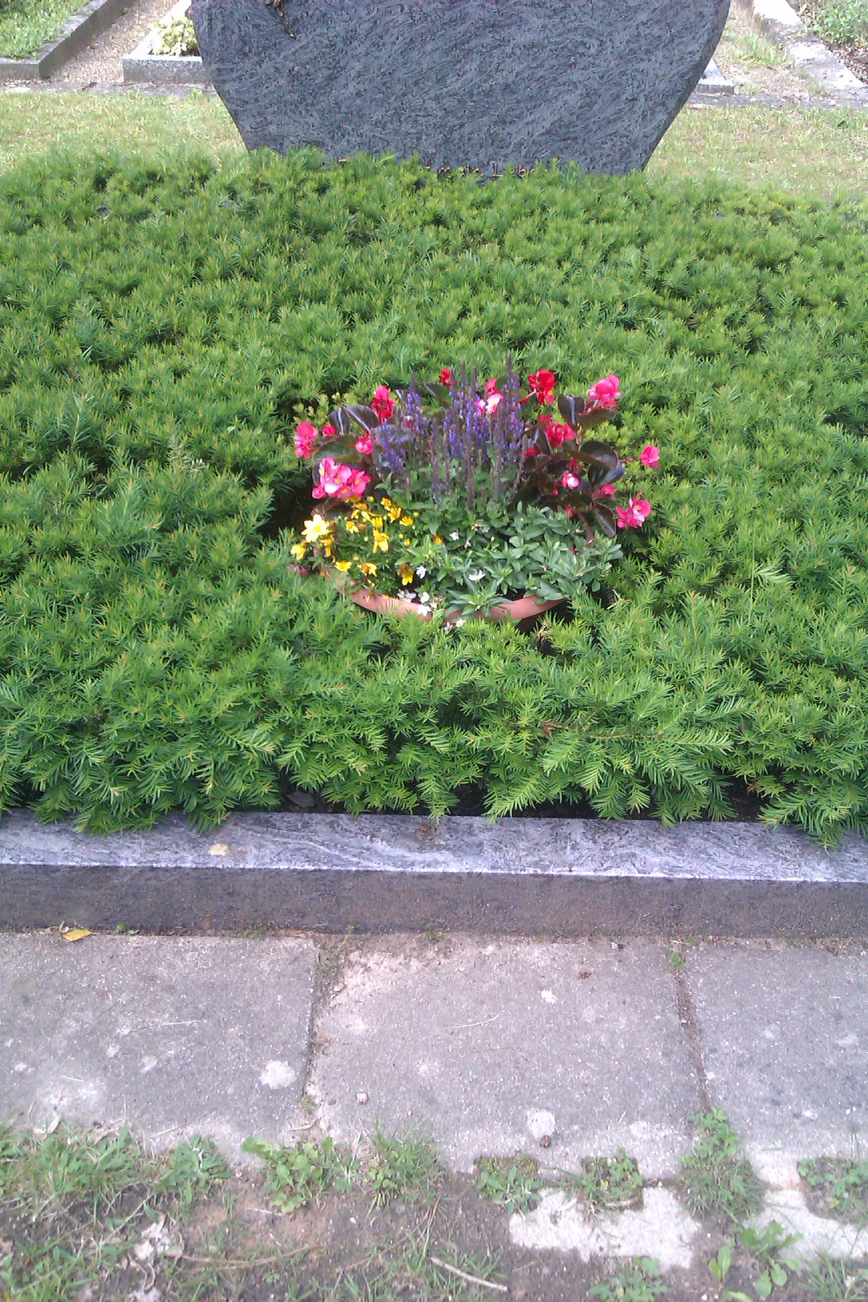 Grabpflege