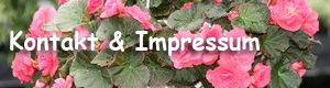 Impressum